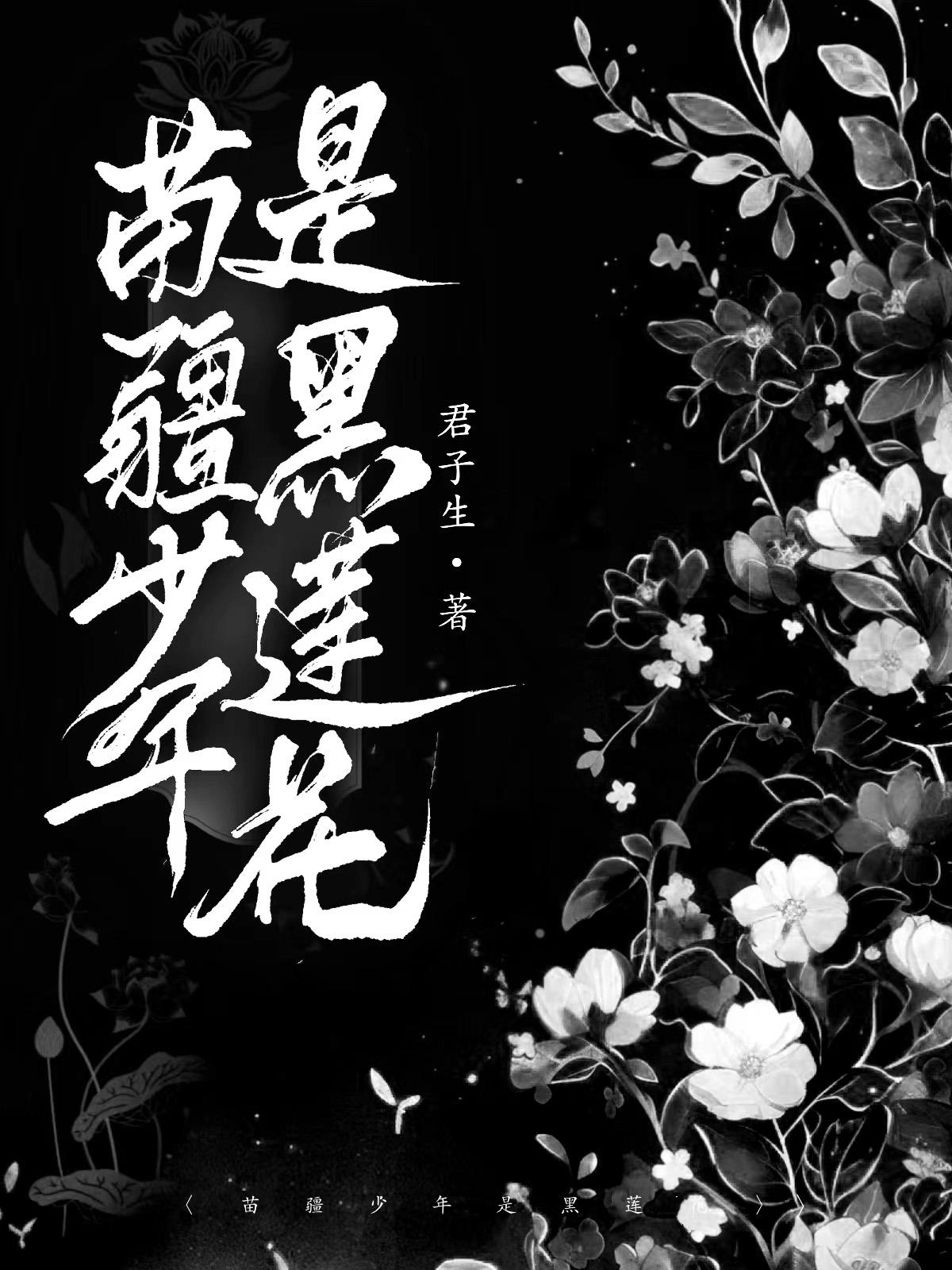 黑蓮花攻略手冊慕子期