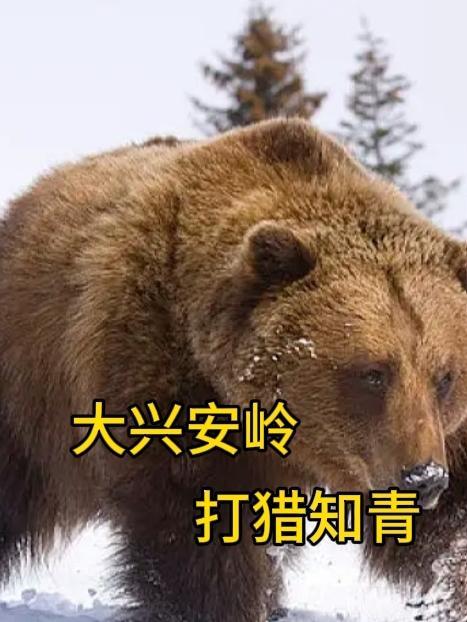 大興安嶺打獵故事