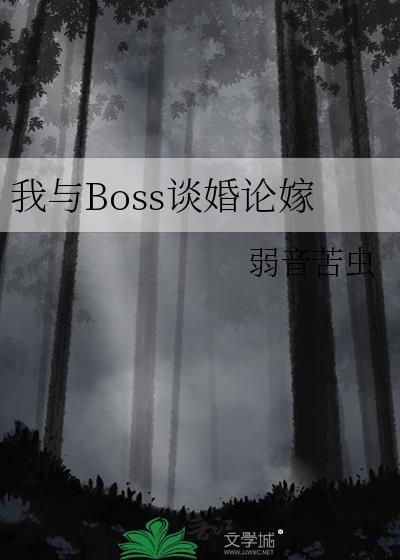 我和boss