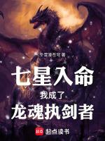 七星入命，我成了龍魂執劍者